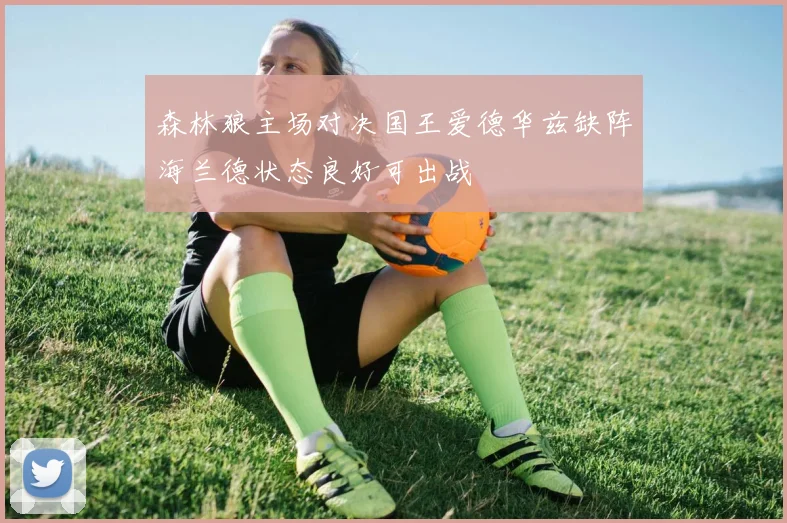 森林狼主场对决国王爱德华兹缺阵海兰德状态良好可出战