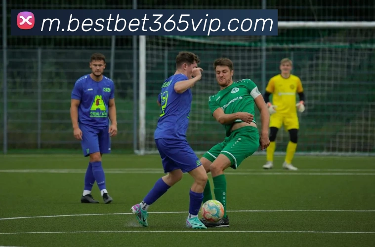 best体育APP 封面图